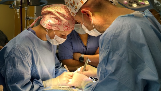 Мастер-класс по лечению сосудистой мозговой недостаточности проводят в Клинике кардиохирургии Амурской ГМА для врачей из других регионов