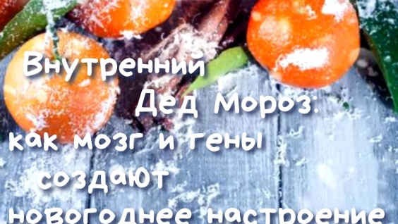 Научный симпозиум ‎«Внутренний Дед Мороз: как мозг и гены создают новогоднее чудо»