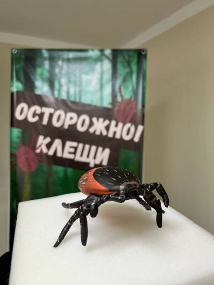 Осторожно, клещи! Как будущие врачи учат защищаться от опасных инфекций