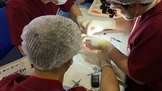 Участие команды «Онкоген» в финальном конкурсе V Всероссийской олимпиады с международным участием «Sechenov Cancer Quest»